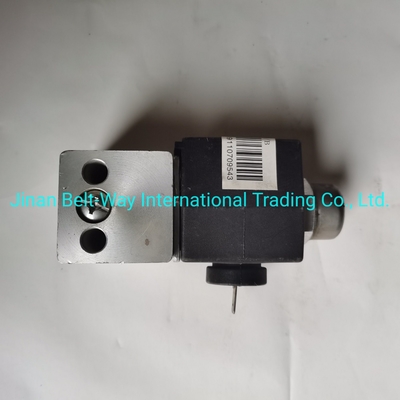 Sinotruk HOWO Đồ đạc động cơ xe tải pin van từ tính Wg9100710008