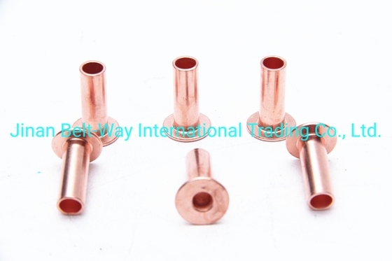 Sinotruk HOWO Chiếc xe tải phụ tùng phanh lót nivet Wg9231340068 Tiêu chuẩn và bền 10 * 22mm