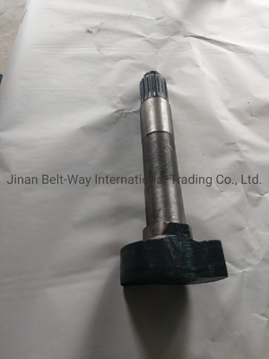 Sinotruk HOWO Chiếc xe tải phụ tùng phanh Camshaft Wg9100440002 Wg9100440001 cho hộp số