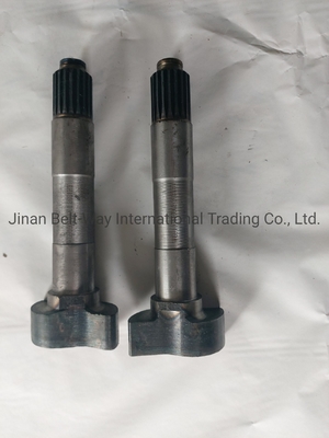 Sinotruk HOWO Chiếc xe tải phụ tùng phanh Camshaft Wg9100440002 Wg9100440001 cho hộp số