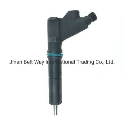 Máy phun nhiên liệu tùy chỉnh cho bộ phận động cơ VG1246080036 OEM Vg1246080036Bảo đảmT1 năm