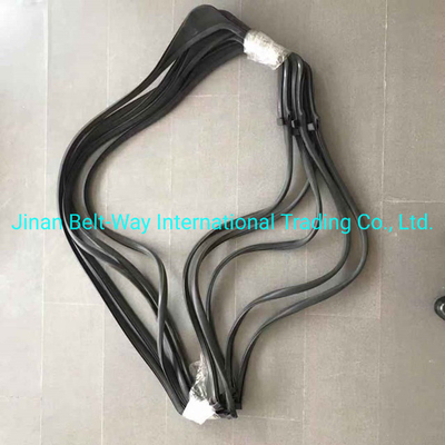 Sinotruk HOWO Truck L Glass Sealing Wg1642350001 Wg1642350002s cho hệ thống truyền tải