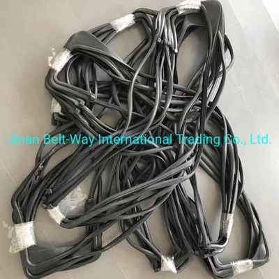 Sinotruk HOWO Truck L Glass Sealing Wg1642350001 Wg1642350002s cho hệ thống truyền tải