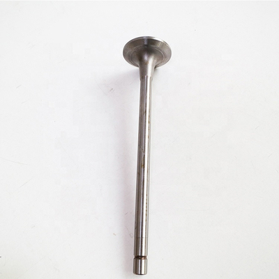 Tùy chỉnh Sinotruk HOWO phụ tùng Wd615 động cơ khí ống xả van 612600050073
