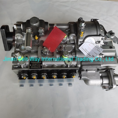 Sinotruk HOWO Truck Parts Fuel Injection Pump Vg1560080021 với hỗ trợ thanh toán USD