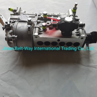Sinotruk HOWO Truck Parts Fuel Injection Pump Vg1560080021 với hỗ trợ thanh toán USD