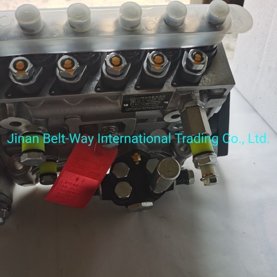 Sinotruk HOWO Truck Parts Fuel Injection Pump Vg1560080021 với hỗ trợ thanh toán USD