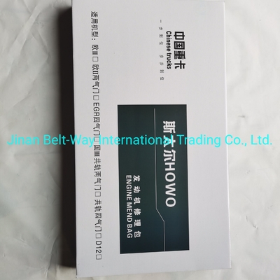 Thanh toán an toàn Bảo vệ mua hàng của bạn với Sinotruk HOWO Truck Parts Engine Repair Kits