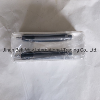 Sinotruk HOWO Truck Parts Fuel Injector Vg1560080276 cho hệ thống lái trục trước