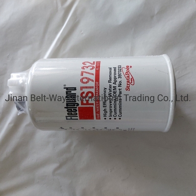 Sinotruk HOWO Truck Parts Fuel-Water Separator Filter Fs19732 cho thị trường Nam Á