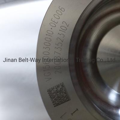 Bảo mật thanh toán Bảo vệ thanh toán của bạn cho Sinotruk HOWO Truck Parts Vg1560030010 Piston