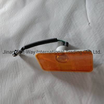Sinotruk HOWO Truck Parts Side-Marker Lamp Wg9100720012/2 Hoạt động tuyệt vời