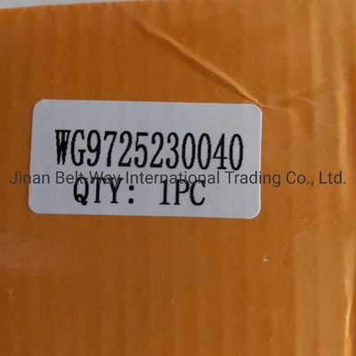 Các bộ phận hệ thống phanh Wg9725230040 Đàn tăng ly hợp cho xe tải Sinotruk HOWO OEM