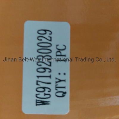 Sinotruk HOWO Truck Parts Clutch Booster Cylinder Wg9719230029 Hoàn hảo cho xe tải của bạn