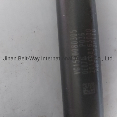 Máy phun nhiên liệu Vg1560080305 Liên hệ chi phí vận chuyển để mua Sinotruk HOWO Truck Parts