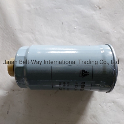 Sinotruk HOWO Chiếc xe tải phụ tùng xe tải phụ tùng bộ lọc nhiên liệu Vg14080740A với màu đen