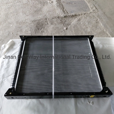 Sinotruk HOWO Truck Parts Radiator Wg9719530270 Wg9725530011 Liên hệ chi phí vận chuyển