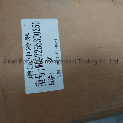 Sinotruk HOWO Chiếc xe tải phụ tùng siêu năng lượng Intercooler Wg97255300250 Wg9725530020