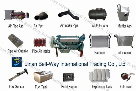 Phụ tùng phụ tùng cho Shacman Sinotruk HOWO Foton FAW Wechai Engine Truck lọc và thử nghiệm