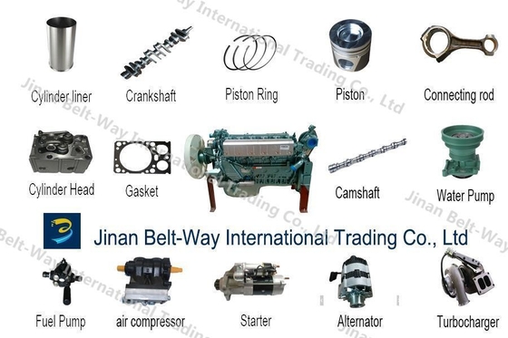 Phụ tùng phụ tùng cho Shacman Sinotruk HOWO Foton FAW Wechai Engine Truck lọc và thử nghiệm