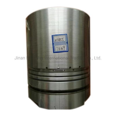 3017349 Động cơ biển Động cơ diesel Nt855 Máy phát điện Phụ tùng Piston với hỗ trợ trực tuyến