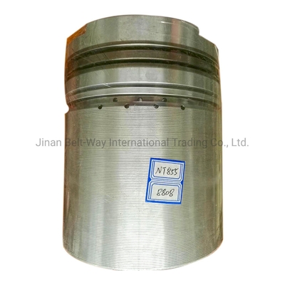 Diesel Cummins Nt855 Engine Spare Part 3048808 Piston với khoản thanh toán hỗ trợ bằng USD