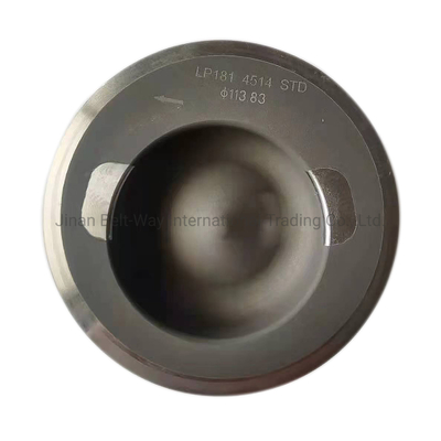 100% thử nghiệm bộ phận động cơ tiêu chuẩn piston 3919565 cho Cummins 6CT bằng đường biển / hàng không / thư