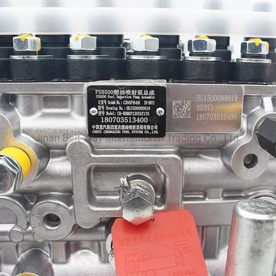 Dịch vụ sau bán hàng hỗ trợ trực tuyến Sinotruk HOWO bơm phun nhiên liệu Hg1500089019