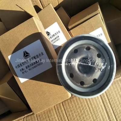 Sino HOWO Weichai Wp10 Wd615 Bộ lọc dầu động cơ diesel Vg1246070031 cho thiết bị lái